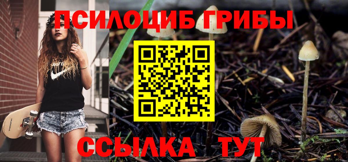 Псилоцибиновые грибы мицелий Сибай