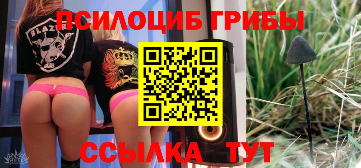 Псилоцибиновые грибы Psilocybine cubensis  Псилоцибиновые грибы ЛСД  Сибай  Вход с VPN 